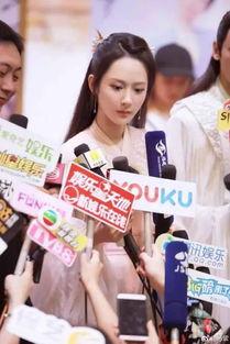 娱乐大爆料杨紫头条微博,娱乐大爆料背后的精彩瞬间