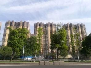 江宁东山房价最新爆料,涨跌动态一览无余