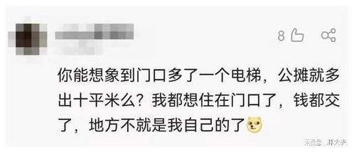 爆料新闻激动人心的时刻,激动人心的瞬间，真相大白！