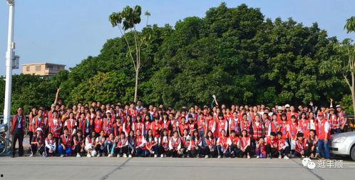 丰顺现场爆料视频最新,惊现惊人一幕，揭秘背后真相！