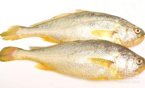 小黄鱼爆料新闻最新消息,最新热点事件深度解析