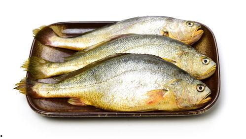 小黄鱼爆料新闻最新消息,最新热点事件深度解析