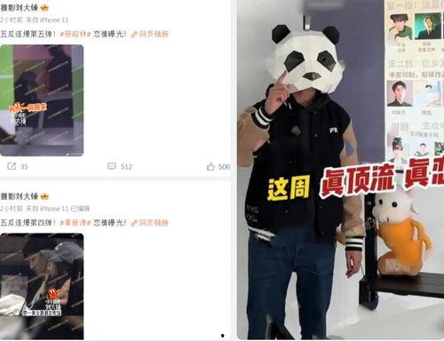 狗仔刘大锤最新爆料视频,狗仔界最新爆料视频大揭秘！