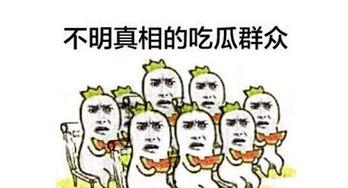 吃瓜群众在线免费观看,吃瓜群众在线观看盛宴