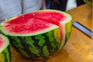 长清大学吃瓜视频免费,揭秘校园生活趣味瞬间