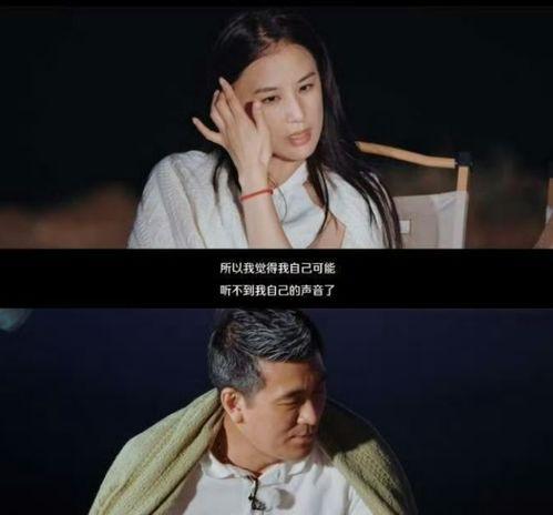 再见爱人爆料视频,夫妻关系背后的真相与抉择