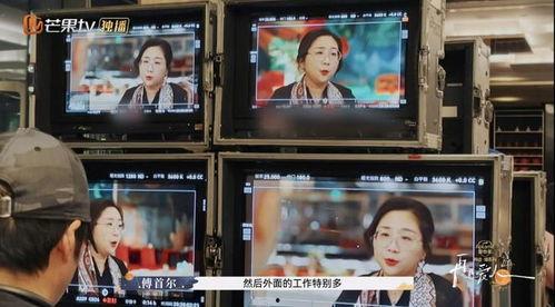 再见爱人爆料视频,夫妻关系背后的真相与抉择