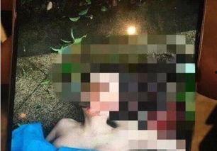 李亚强与徒弟爆料的视频,视频揭秘师徒关系背后的真相