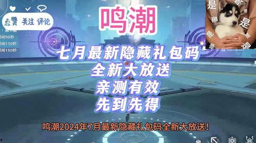 鸣潮爆料最新新闻报道