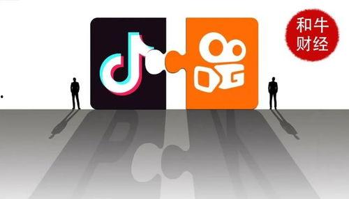 抖音大佬爆料视频下载安装,下载安装全攻略