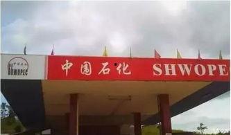 济宁加油站爆料案件最新,真相揭露与法律追责并行