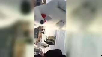 搞笑爆料东北人视频下载,搞笑爆料视频下载狂欢！