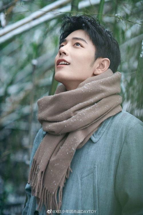 爆料娱乐圈杨紫肖战是谁,杨紫肖战疑因某事件引发热议