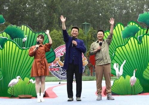 泽西最新爆料新闻视频,揭秘视频背后的惊人真相