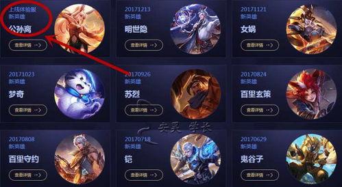 皮肤爆料名称大全最新,潮流趋势与创意无限