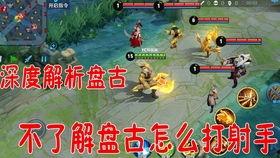 老鸟王者爆料视频大全集