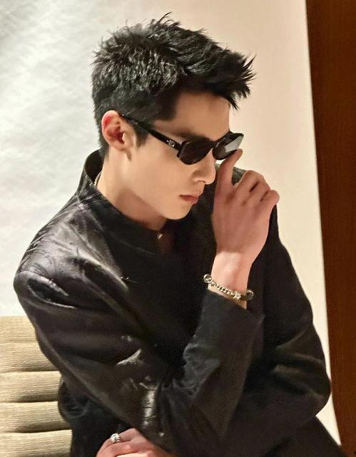 王鹤棣喜欢白鹿吗最新爆料,最新爆料揭秘心动瞬间