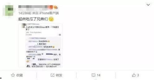 一个吃瓜群众爆料的视频,揭秘视频背后的惊人真相！