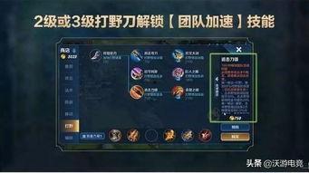 打野刀爆料视频,视频解析功能与战术革新