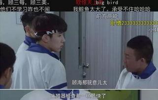 上瘾十五集在线观看,揭秘剧情高潮，解锁情感谜题