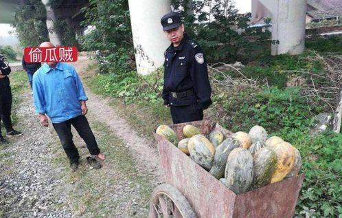 射阳吃瓜最新事件爆料视频