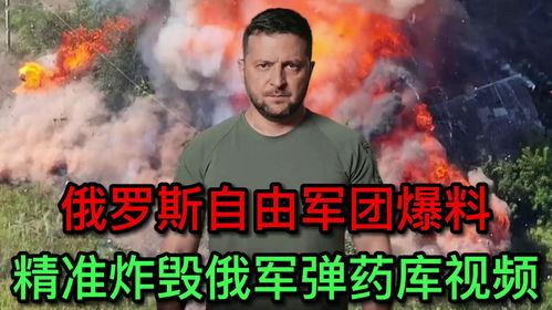 俄国最新爆料视频下载,深度解析事件背后真相