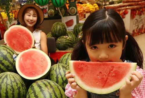 全网吃瓜免费下载,畅享娱乐盛宴