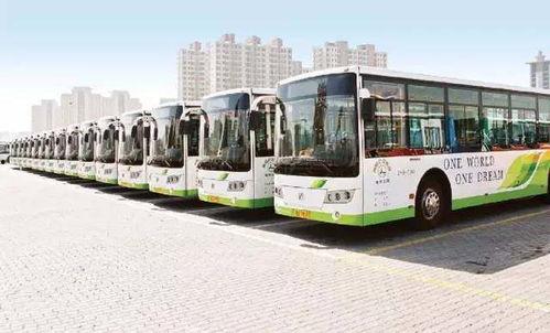 青岛公交车爆料事件视频