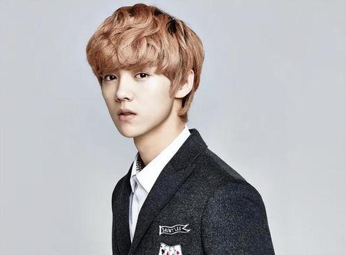 鹿晗漫画爆料最新版下载,独家揭秘偶像幕后故事