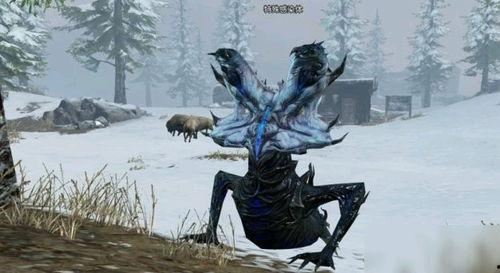 白树最新爆料视频播放,精彩瞬间与幕后故事大公开