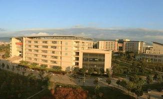 曲靖师范学院最新爆料,揭秘校园发展新动向