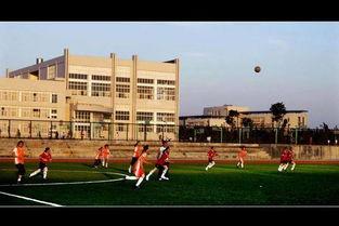 曲靖师范学院最新爆料,揭秘校园发展新动向