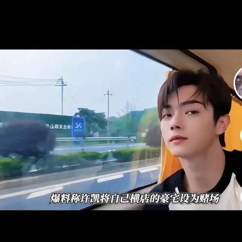 许凯被谁爆料了啊视频播放,许凯被神秘人物爆料视频引发热议