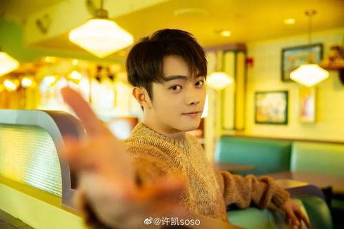 许凯被谁爆料了啊视频播放,许凯被神秘人物爆料视频引发热议