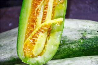 淄博网红吃瓜,揭秘美食背后的故事