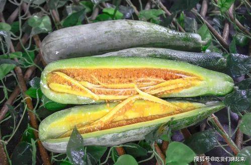 成县的吃瓜网红主角,揭秘当地美食背后的故事