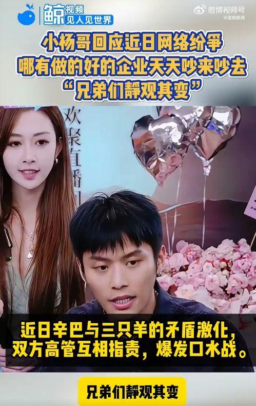 三只羊视频爆料,揭秘背后惊人真相