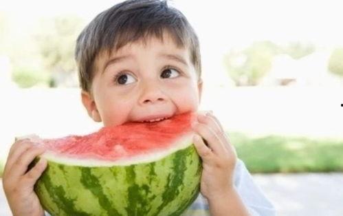 云木吃瓜免费视频,揭秘网络娱乐新潮流