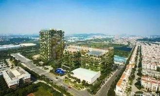 蕲春碧桂园爆料最新消息,揭秘项目进展与未来规划