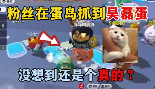 蛋仔爆料博主是谁啊视频