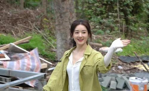 刘大锤爆料赵丽颖恋情视频,刘大锤视频揭秘甜蜜瞬间