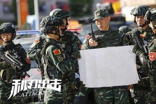 利刃突击全集在线观看,揭秘特种兵的生死较量与忠诚信仰