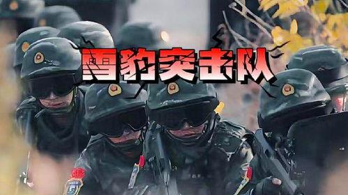 利刃突击全集在线观看,揭秘特种兵的生死较量与忠诚信仰